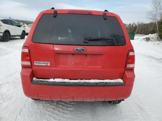 2009 Ford Escape XLT