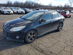 Ford Focus se salvage cars for sale: 2014 Ford Focus SE