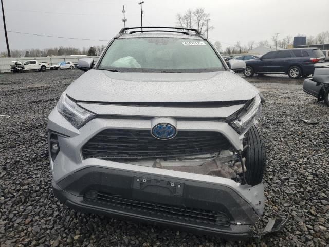 2024 Toyota Rav4 XLE Premium