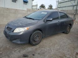 2010 Toyota Corolla Base en venta en Albuquerque, NM