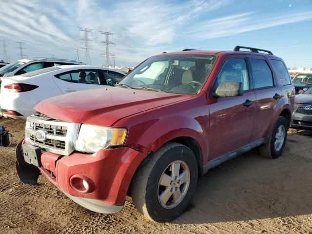 2011 Ford Escape XLT