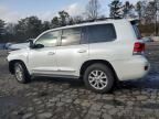 2021 Toyota Land Cruiser VX-R