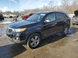 Salvage Cars with No Bids Yet For Sale at auction: 2013 KIA Sorento EX