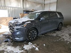 Salvage cars for sale at auction: 2024 KIA Carnival EX