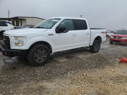 Salvage cars for sale at Temple, TX auction: 2016 Ford F150 Supercrew