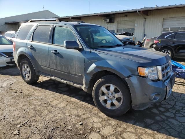 2011 Ford Escape Hybrid