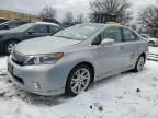 2010 Lexus HS 250H