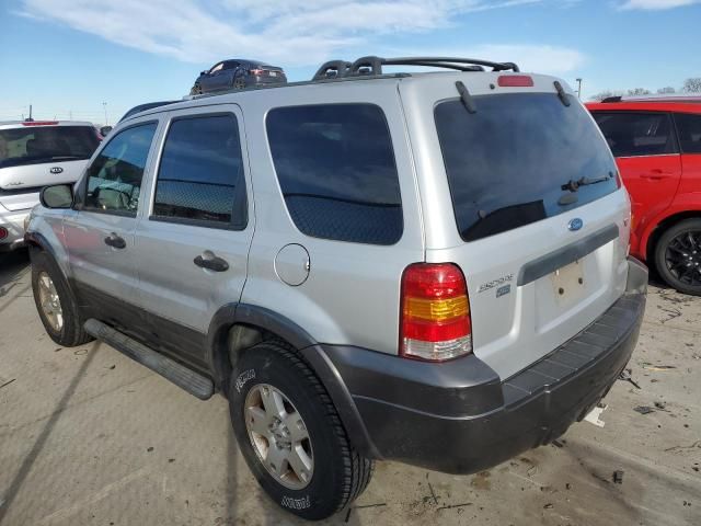 2006 Ford Escape XLT