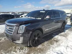 Carros con verificación Run & Drive a la venta en subasta: 2015 Cadillac Escalade ESV Platinum