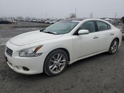 Nissan salvage cars for sale: 2010 Nissan Maxima S