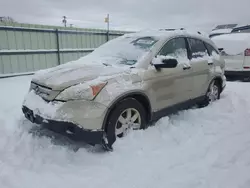 Salvage cars for sale from Copart Central Square, NY: 2009 Honda CR-V EX