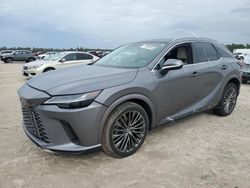 Salvage cars for sale at Houston, TX auction: 2023 Lexus RX 350 Base