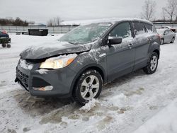 Salvage Cars with No Bids Yet For Sale at auction: 2015 Ford Escape SE