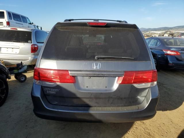 2010 Honda Odyssey EXL