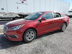 Salvage cars for sale at Anthony, TX auction: 2016 Hyundai Sonata SE