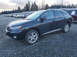 Lexus rx450 salvage cars for sale: 2011 Lexus RX 450H