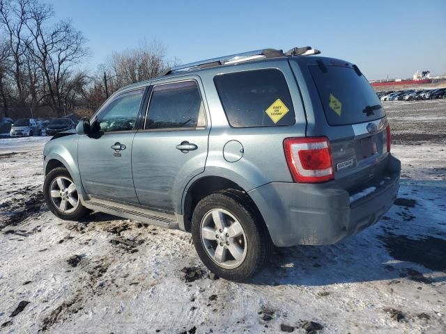 2010 Ford Escape Limited