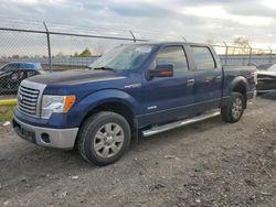 Ford f150 Supercrew salvage cars for sale: 2011 Ford F150 Supercrew