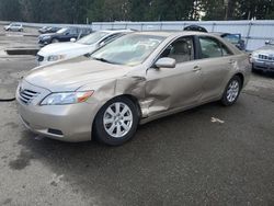 Toyota salvage cars for sale: 2007 Toyota Camry Hybrid