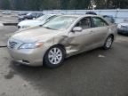 2007 Toyota Camry Hybrid