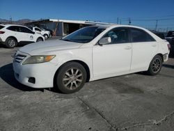 Toyota Camry Base salvage cars for sale: 2010 Toyota Camry Base