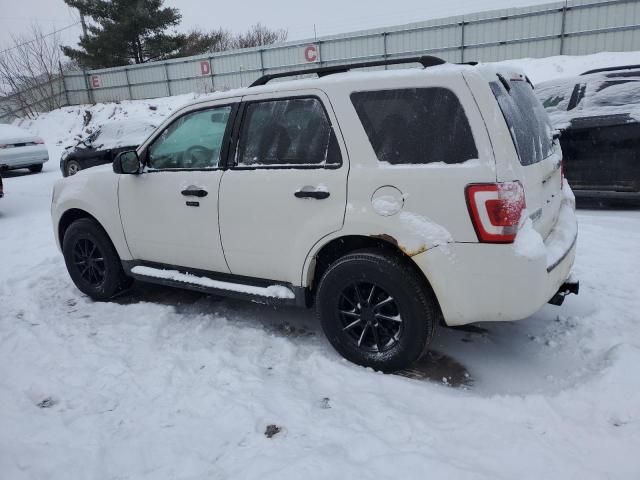 2011 Ford Escape XLT