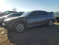 Vehiculos salvage en venta de Copart San Martin, CA: 2013 Honda Accord EX