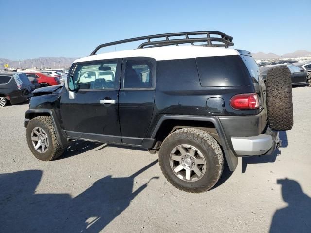 2010 Toyota FJ Cruiser