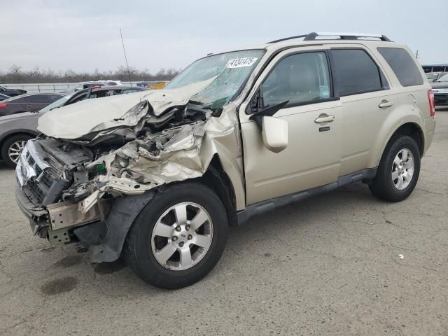 2010 Ford Escape Limited