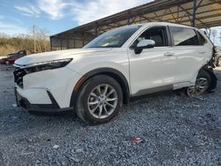 Salvage cars for sale at Cartersville, GA auction: 2025 Honda CR-V EXL