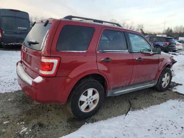 2011 Ford Escape XLT