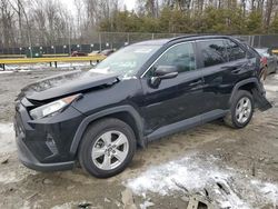 Salvage cars for sale at Waldorf, MD auction: 2019 Toyota Rav4 XLE