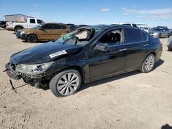 Salvage cars for sale at Amarillo, TX auction: 2014 Honda Accord EXL