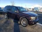 2009 Chevrolet Trailblazer LT