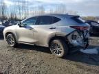 2025 Lexus NX 350H Base