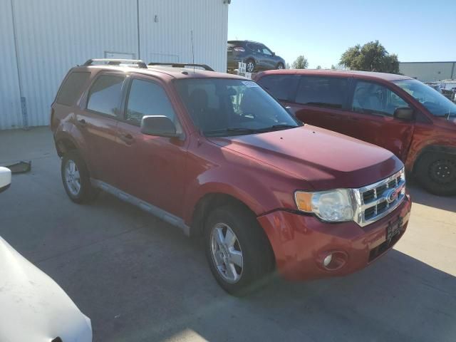 2010 Ford Escape XLT