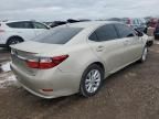 2013 Lexus ES 300H