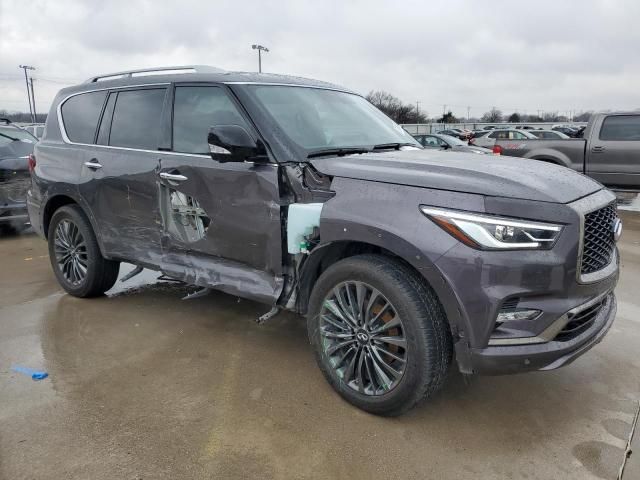 2024 Infiniti QX80 Sensory