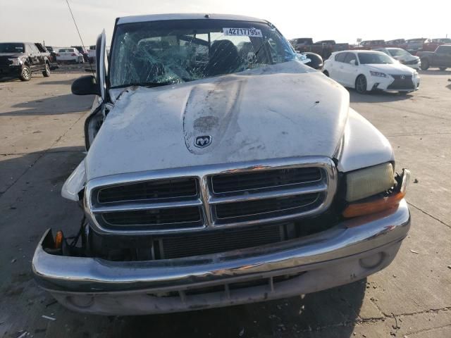 2001 Dodge Dakota