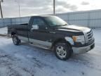 2010 Ford F150