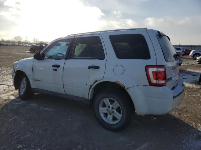 2010 Ford Escape Hybrid