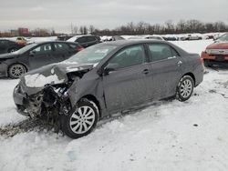 Salvage cars for sale at Columbus, OH auction: 2013 Toyota Corolla Base