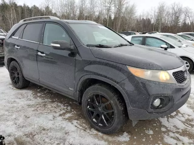 2011 KIA Sorento EX