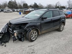 4 X 4 for sale at auction: 2019 Ford Escape SEL