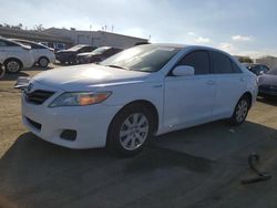 Carros con verificación Run & Drive a la venta en subasta: 2009 Toyota Camry Hybrid