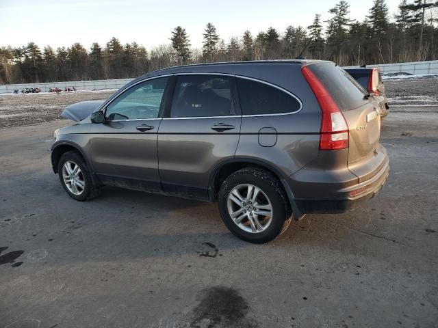 2010 Honda CR-V EXL