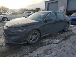 Honda Accord ex salvage cars for sale: 2023 Honda Accord EX