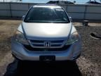 2011 Honda CR-V EXL