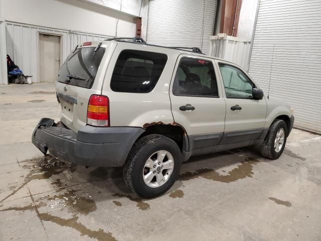 2005 Ford Escape XLT