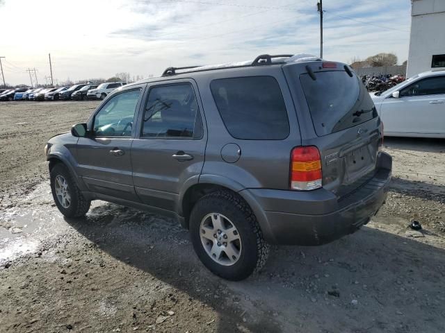 2005 Ford Escape Limited